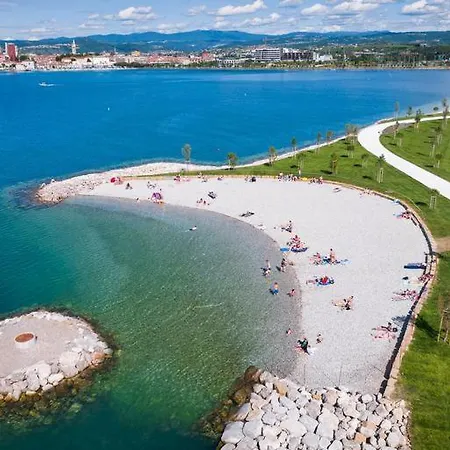 Apartma Pingo