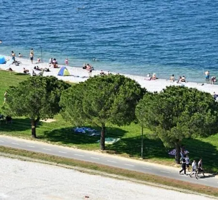 Apartma Pingo *