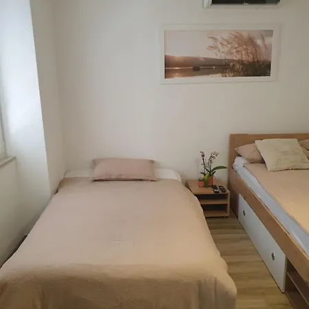 Apartma Pingo