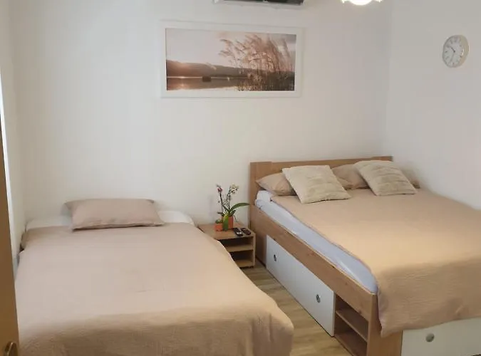 アパート Apartma Pingo *